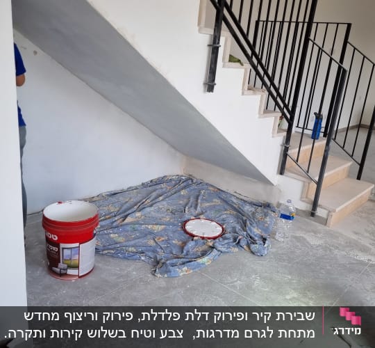 דלי צבע, מברשת, סולם, בד מגן על הרצפה